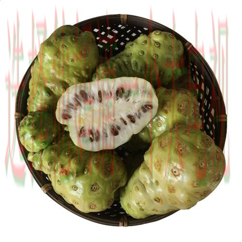 凯发体育网页版全新升级体验 凯发体育网页版全新升级体验