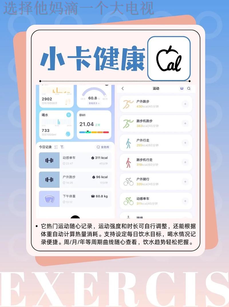 极速体育APP下载最新版